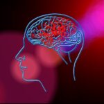 Accidentul vascular cerebral la adultul tânăr: factori de risc